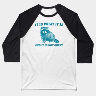 It Is What It Is And It Is Not Great Funny Raccoon Baseball T-Shirt